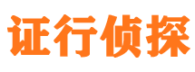 莲都市侦探公司